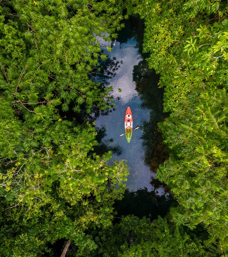 Mangrove Kayaking at Purple Island